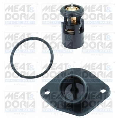 Thermostat, coolant